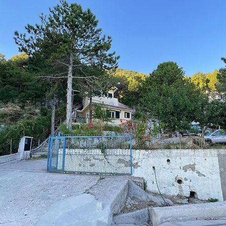 Eagle'S Nest Apartment Palase Exterior photo